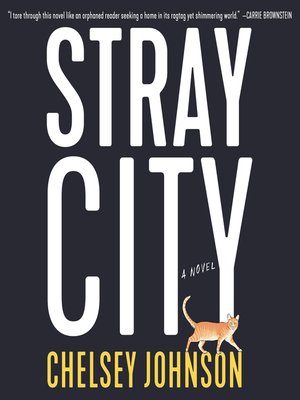 cover image of Stray City